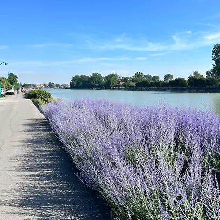 Lestandardgravelines Appartamento